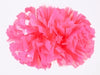 4" Neon Vinyl Pom (Sold Individually)